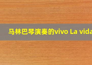 马林巴琴演奏的vivo La vida